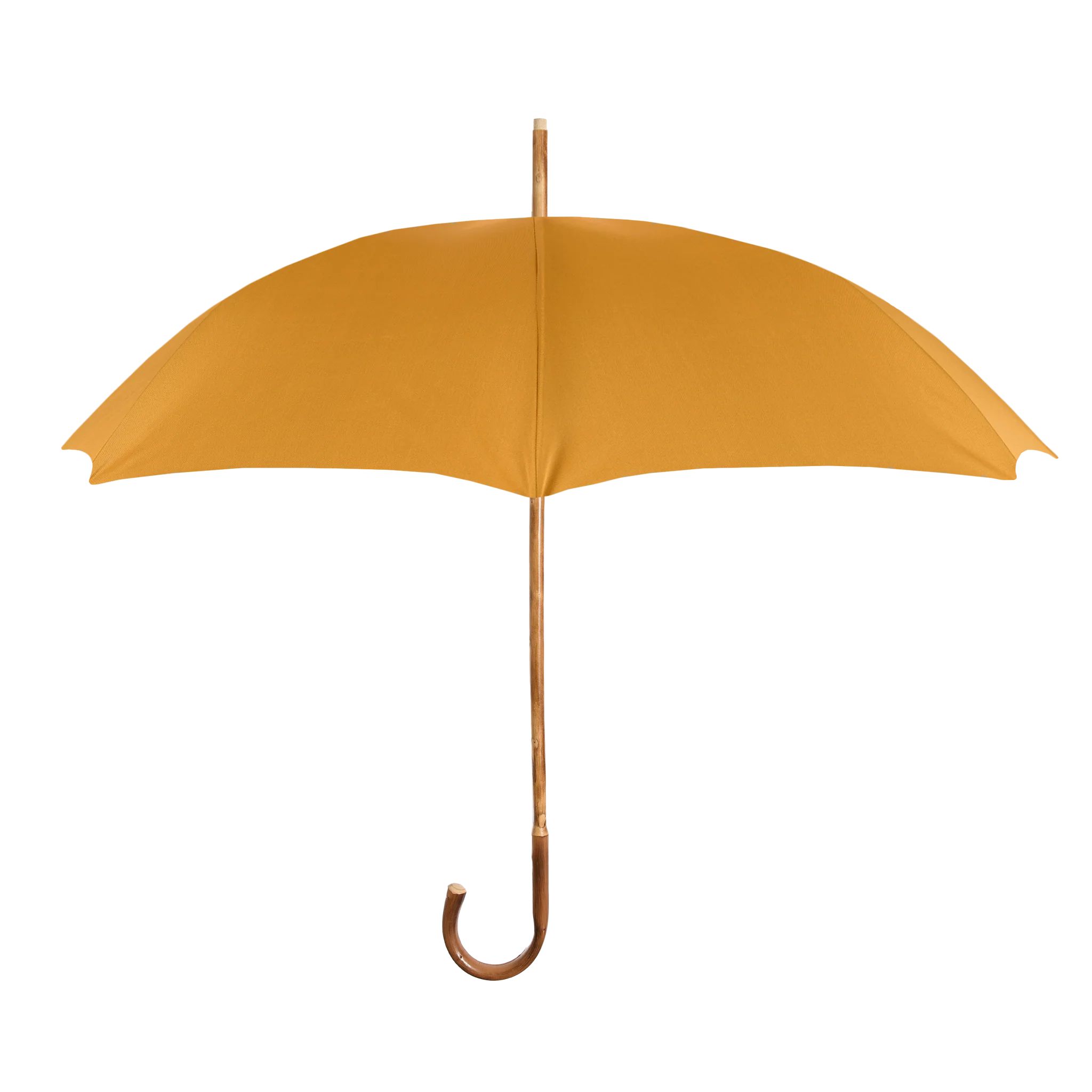 Custom Francesco Maglia Umbrella